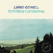 European Impressions | Larry Coryell