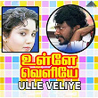 Ulle Veliye (Original Motion Picture Soundtrack) | Ilaiyaraaja, Pulamaipithan, Gangai Amaran & Vaali