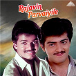 Rajavin Parvaiyile (Original Motion Picture Soundtrack) | Ilaiyaraaja, Kamakodiyan, Vaali & Muthulingam