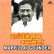 Mappillai Gounder (Original Motion Picture Soundtrack) | Deva