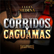 Corridos Y Caguamas | Elias Medina & Akilatados
