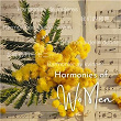 Harmonies of WoMen | Catty.l