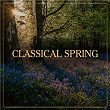 Classical Spring 2024 | Lisa Kriegler