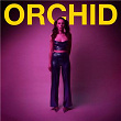 Orchid | Noël