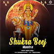 Shukra Beej Mantra | Kapil Koli