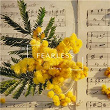 Fearless | Ara Piano