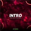 Intro | Specro, Sketch & Dj Vicky Belgaum