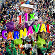 11x Carnaval Vol. 3 | De Losse Flodders