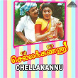 Chellakannu (Original Motion Picture Soundtrack) | Deva & Pulamaipithan