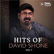 Hits of David Shone | David Shone