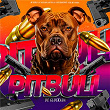 Pitbull de Glokada (feat. Mc Pogba) | Dj Sati Marconex, Dj Alisson Santos & Mc Buret