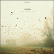 Flock Of Birds | Yanson