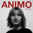 Animo | The Sukis