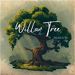 Willow Tree | Hocean & T?i