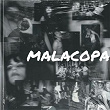 Malacopa | Morenito De Fuego