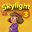 Skylight 3 | Skylight English