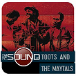 This Is The Sound Of...Toots & The Maytals | Toots & The Maytals