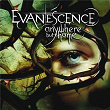 Anywhere But Home (Live) | Evanescence