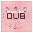 Evolution Of Dub Vol 4 | Joe Gibbs & The Professionals