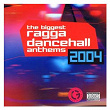 Biggest Ragga Dancehall Anthems 2004 | Nina Sky