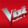 La Voz 2020 - Asaltos 1 (En Directo En La Voz / 2020) | Roger Padrós