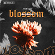 BLOSSOM | Zey