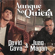 Aunque No Quiera | David Cava