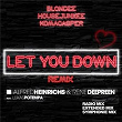 Let You Down (Alfred Heinrichs & Rene Deepreen & Lukas Potempa Remixes) | Blondee