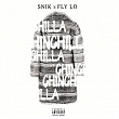 Chinchilla | Snik