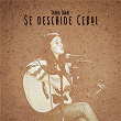 Se deschide Cerul | Ioana Ignat