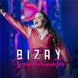 Sentimentos | Bizay