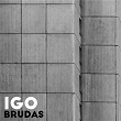 Brudas | Igo