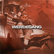 WERDEGANG | Nisa