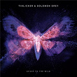 Choir To The Wild | Tinlicker