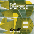 Culture Bunker 1978 - 82 | The Teardrop Explodes