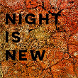 Night Is New | Rysy