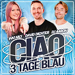 Ciao 3 Tage Blau | David Dichter