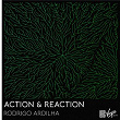 Action & Reaction | Rodrigo Ardilha