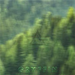 Evergreen (Ørjan Nilsen Remix) | Gryffin