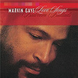 Love Songs: Bedroom Ballads | Marvin Gaye