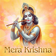 Mera Krishna | Divya Kumar