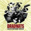 Leave Nothing Unsaid | Dradnats