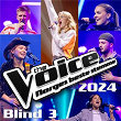 The Voice 2024: Blind Auditions 3 (Live) | Alexander Dokken