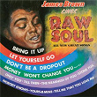 James Brown Sings Raw Soul | James Brown