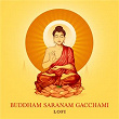 Buddham Saranam Gacchami (Lofi) | Nidhi Prasad