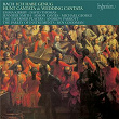 Bach: Cantatas Nos. 82, 202 "Wedding" & 208 "Hunt" | The Taverner Consort Players