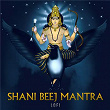 Shani Beej Mantra (Lofi) | Rahul Saxena