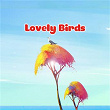 Lovely Birds | Lalatv