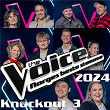 The Voice 2024: Knockout 3 | Alexander Dokken