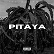 PITAYA | Shabab